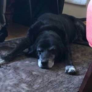 Meet your Posher, Josh